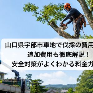 ChatGPT Image 2026年7月2日 10_06_31