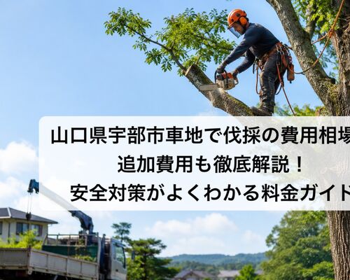 ChatGPT Image 2026年7月2日 10_06_31
