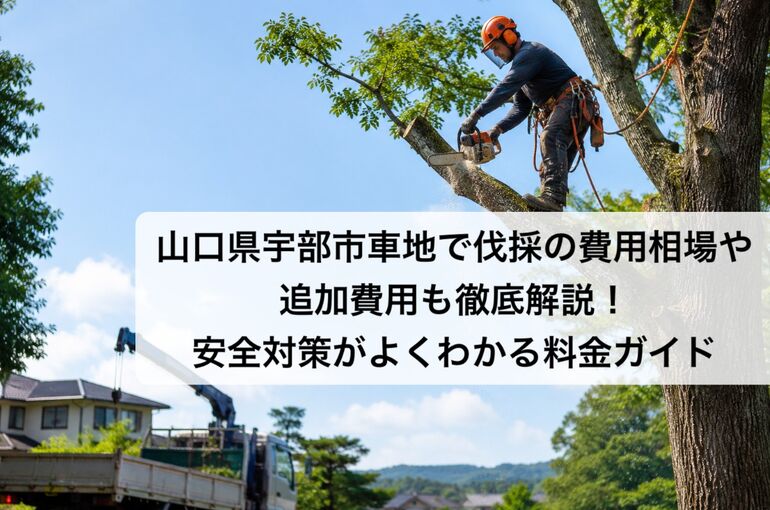 ChatGPT Image 2026年7月2日 10_06_31