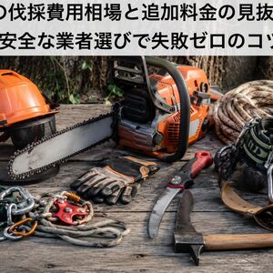 ChatGPT Image 2026年9月1日 11_50_51