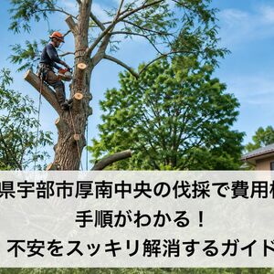 ChatGPT Image 2026年9月4日 07_17_27