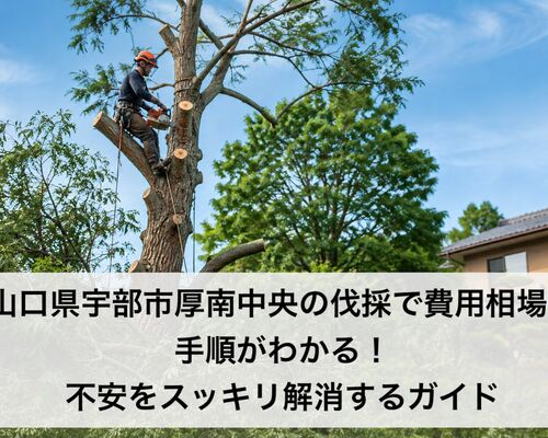 ChatGPT Image 2026年9月4日 07_17_27