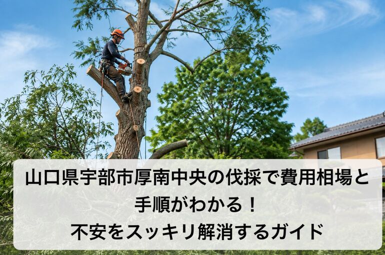 ChatGPT Image 2026年9月4日 07_17_27